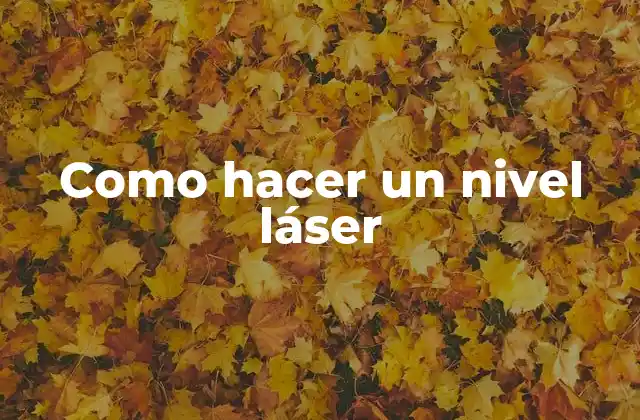 Como Hacer un Nivel Láser