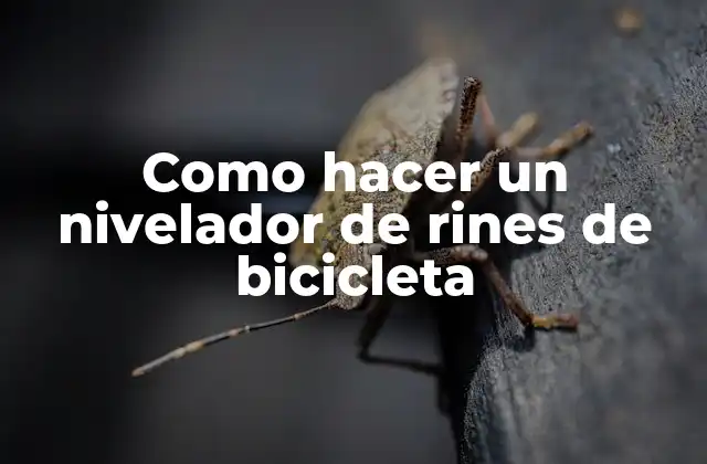 Como Hacer un Nivelador de Rines de Bicicleta