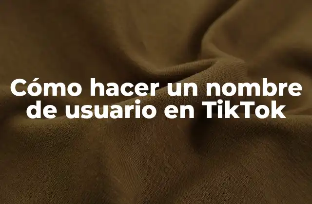 Cómo Hacer un Nombre de Usuario en Tiktok