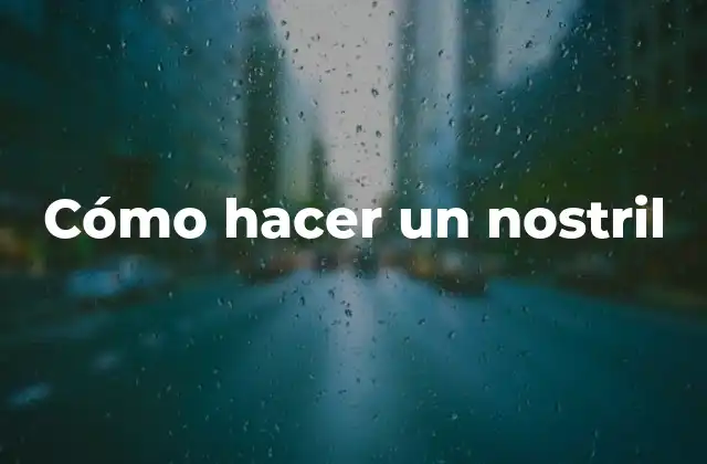 Cómo Hacer un Nostril