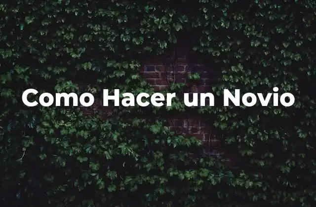 Qué es un Novio y Cómo Se Convierte en Uno