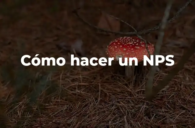 Cómo Hacer un Nps