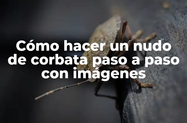 Cómo Hacer un Nudo de Corbata Paso a Paso con Imágenes