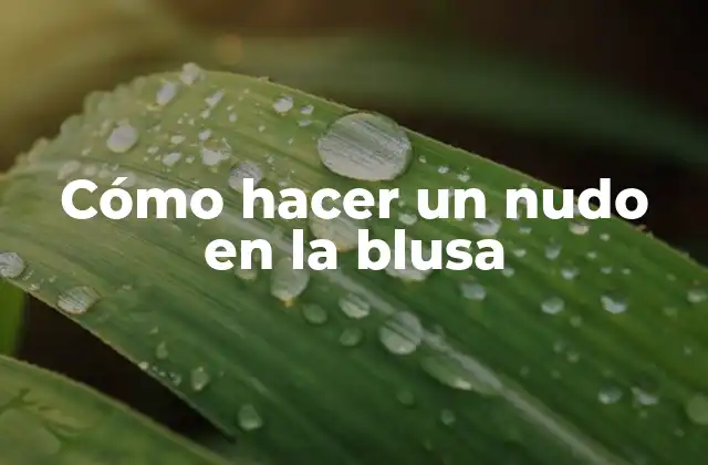 Cómo Hacer un Nudo en la Blusa