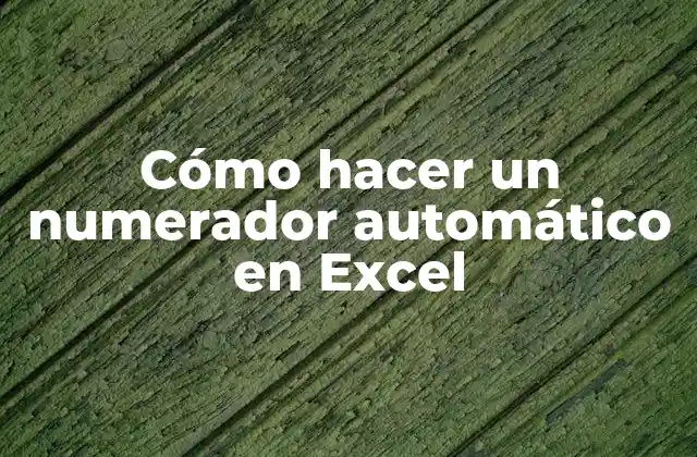 Cómo Hacer un Numerador Automático en Excel