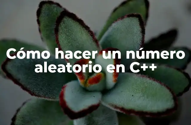 Cómo Hacer un Número Aleatorio en C++