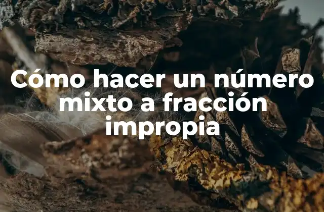 Cómo Hacer un Número Mixto a Fracción Impropia