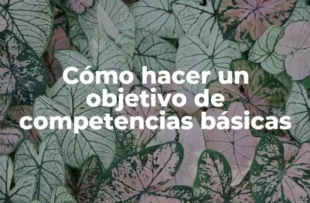 Cómo Hacer un Objetivo de Competencias Básicas