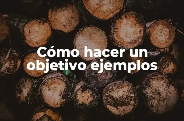 Cómo Hacer un Objetivo Ejemplos