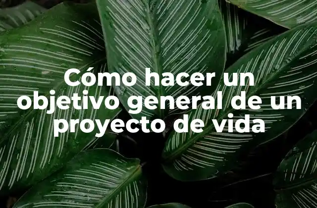 Cómo hacer un objetivo general de un proyecto de vida