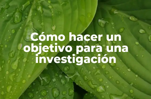 Cómo Hacer un Objetivo para una Investigación