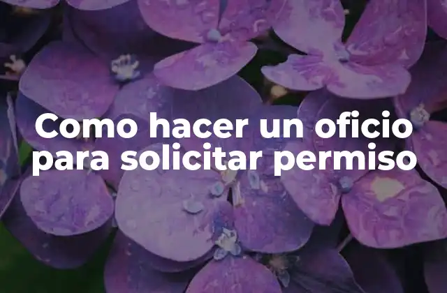 Como Hacer un Oficio para Solicitar Permiso