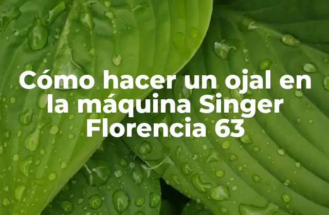 Cómo Hacer un Ojal en la Máquina Singer Florencia 63