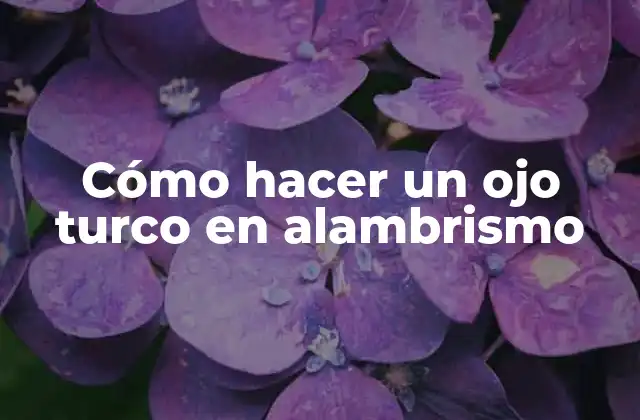 Cómo Hacer un Ojo Turco en Alambrismo