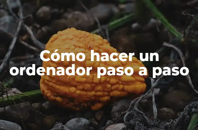 Cómo Hacer un Ordenador Paso a Paso 2 Cómo hacer un ordenador paso a paso