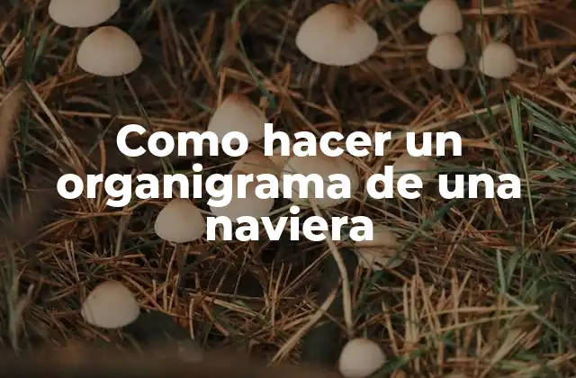 Como Hacer un Organigrama de una Naviera