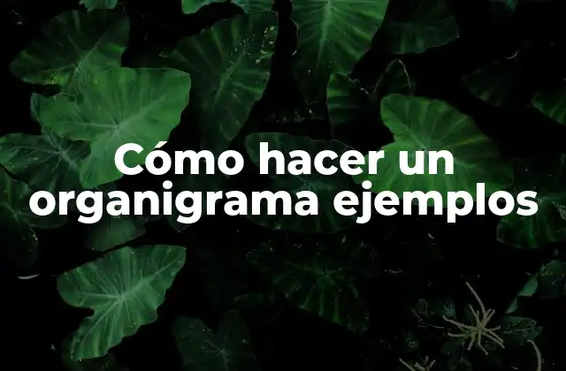 ¿Qué es un organigrama y para qué sirve?