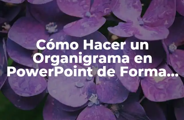 ¿Qué es un Organigrama y por qué es Importante?