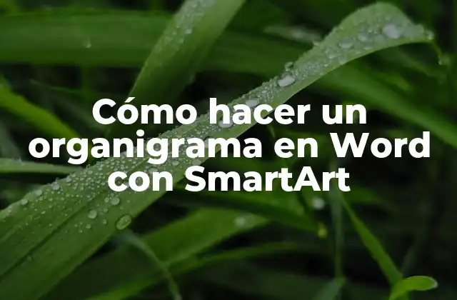 Cómo Hacer un Organigrama en Word con Smartart