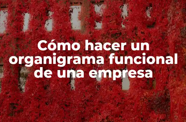 Cómo Hacer un Organigrama Funcional de una Empresa