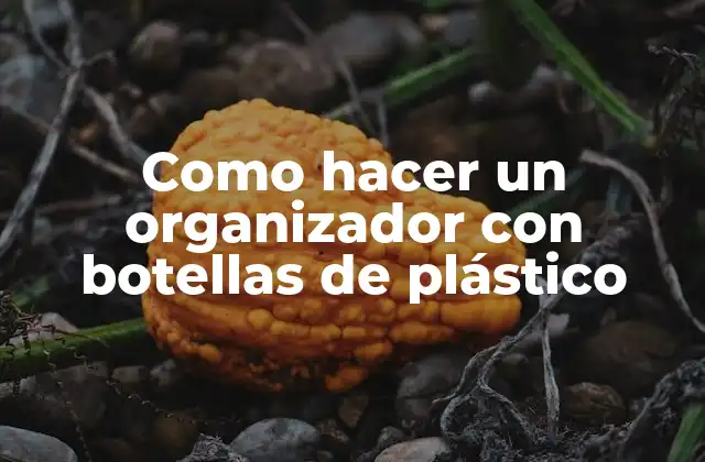 Como Hacer un Organizador con Botellas de Plástico