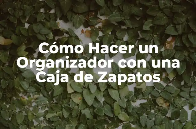 Cómo Hacer un Organizador con una Caja de Zapatos