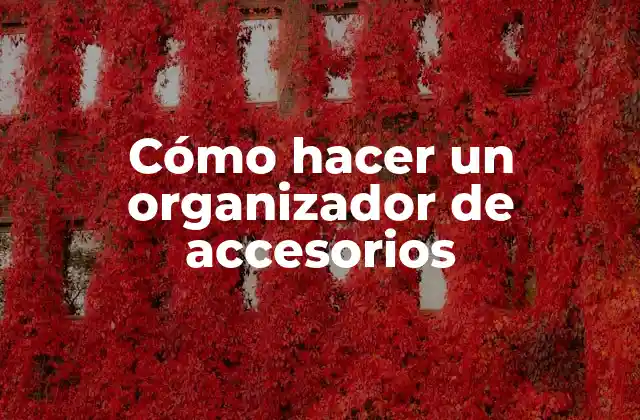 Cómo Hacer un Organizador de Accesorios