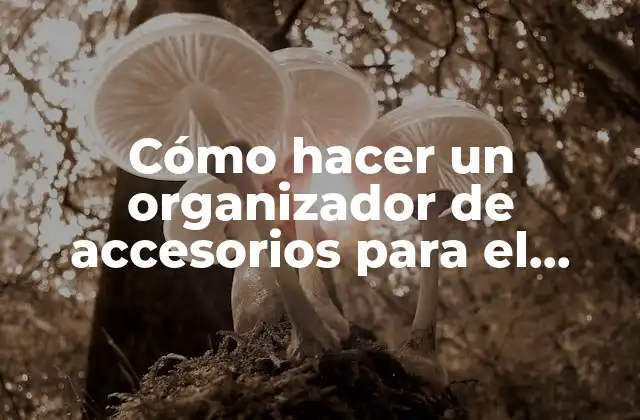 Cómo Hacer un Organizador de Accesorios para el Cabello