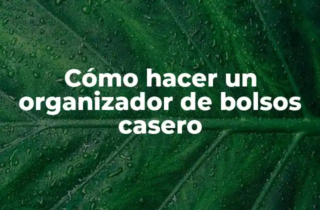 Cómo Hacer un Organizador de Bolsos Casero