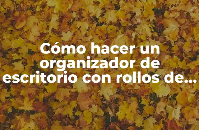 Cómo Hacer un Organizador de Escritorio con Rollos de Papel