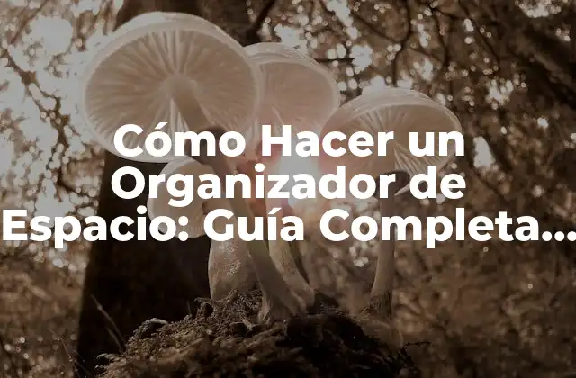 Cómo Hacer un Organizador de Espacio: Guía Completa y Detallada