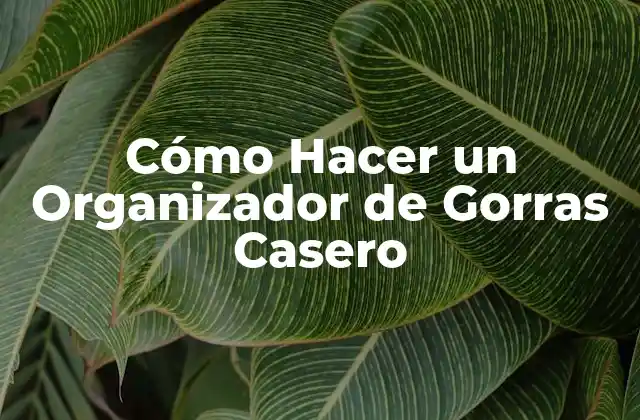 Cómo Hacer un Organizador de Gorras Casero