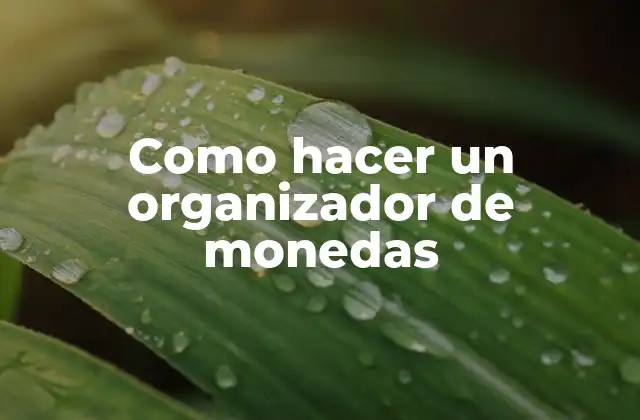 Como Hacer un Organizador de Monedas