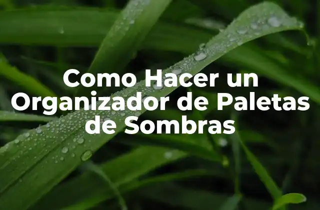 Como Hacer un Organizador de Paletas de Sombras