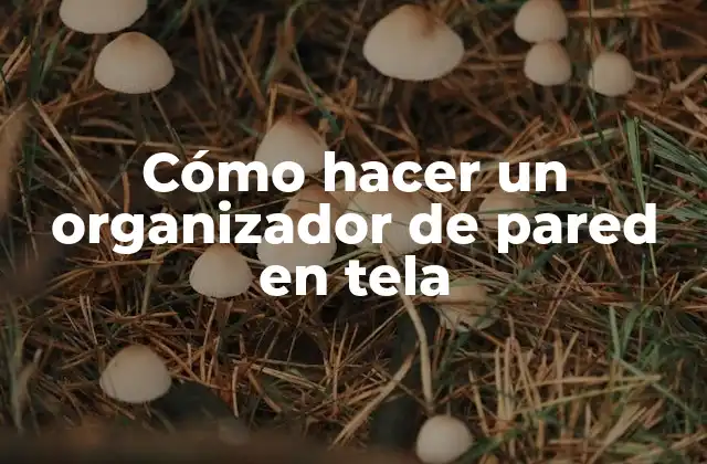 Cómo Hacer un Organizador de Pared en Tela