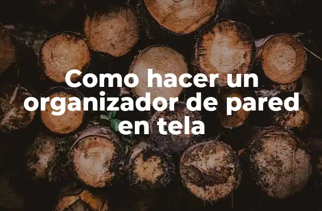 Como Hacer un Organizador de Pared en Tela
