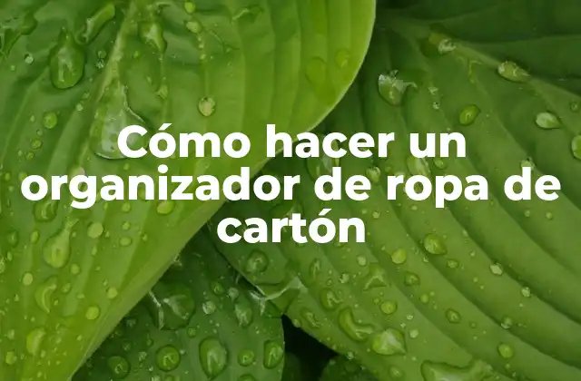 Cómo Hacer un Organizador de Ropa de Cartón