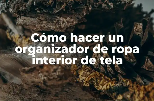 Cómo Hacer un Organizador de Ropa Interior de Tela