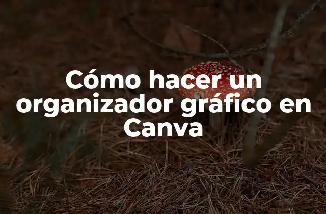Cómo Hacer un Organizador Gráfico en Canva
