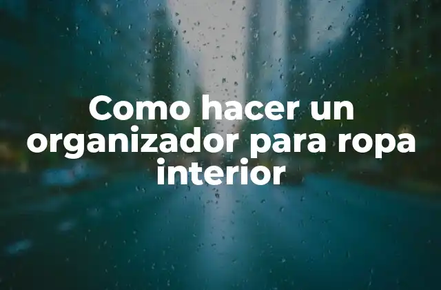 Como Hacer un Organizador para Ropa Interior