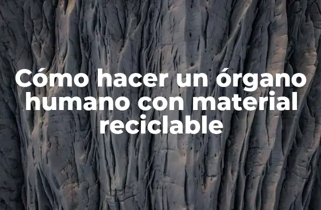 Cómo Hacer un Órgano Humano con Material Reciclable
