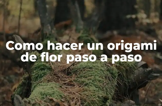 Como Hacer un Origami de Flor Paso a Paso