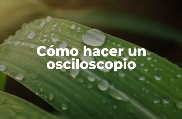 Cómo Hacer un Osciloscopio