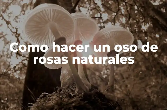 Como Hacer un Oso de Rosas Naturales