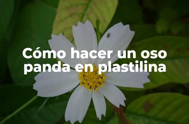 Cómo Hacer un Oso Panda en Plastilina