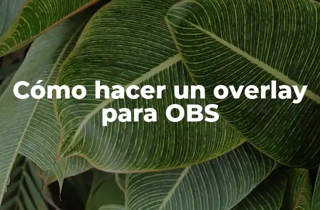 Cómo Hacer un Overlay para Obs