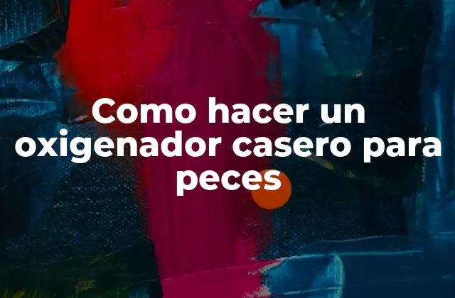 Como Hacer un Oxigenador Casero para Peces