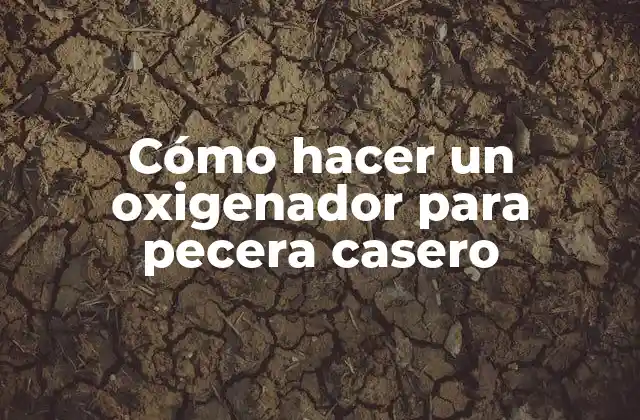 Cómo Hacer un Oxigenador para Pecera Casero