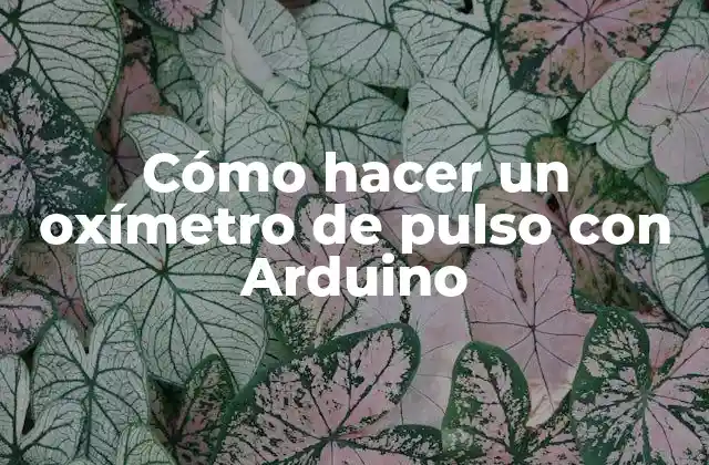 Cómo Hacer un Oxímetro de Pulso con Arduino