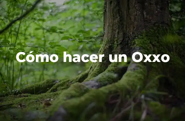 Cómo Hacer un Oxxo
